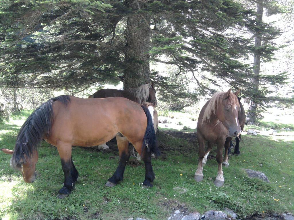Vacances Perennes Cauterets Zewnętrze zdjęcie